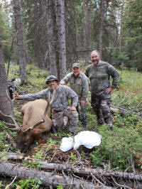 Archery elk 2018